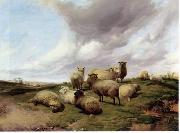 Sheep 146 unknow artist